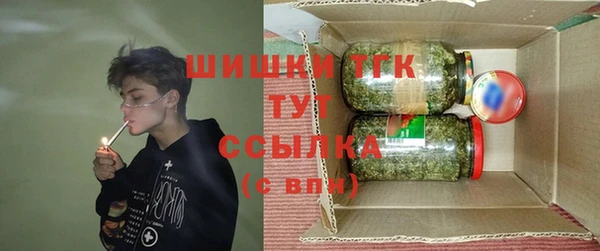 PSILOCYBIN Аркадак