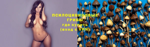 бошки Арсеньев