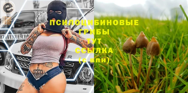 мдма Протвино