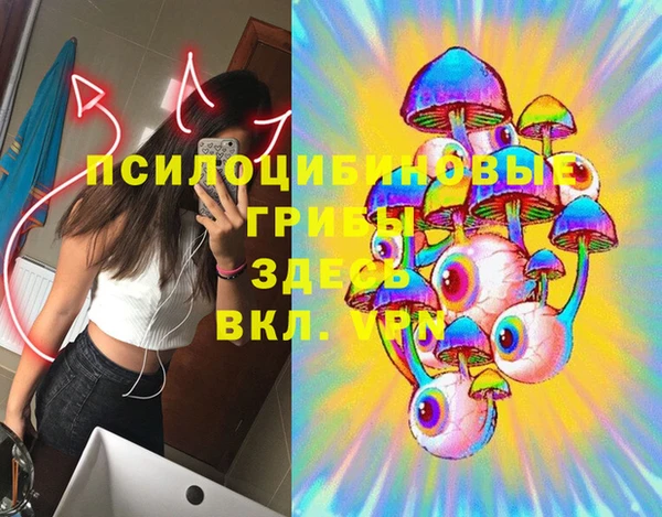 бошки Арсеньев