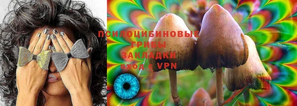 PSILOCYBIN Аркадак